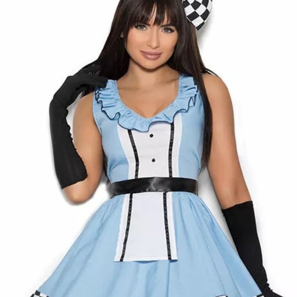 Storybook Alice Wonderland Blue Dress Costume Elegant Moments